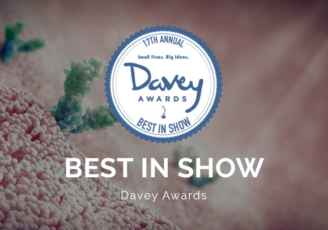 Davey Awards 2021 Logo