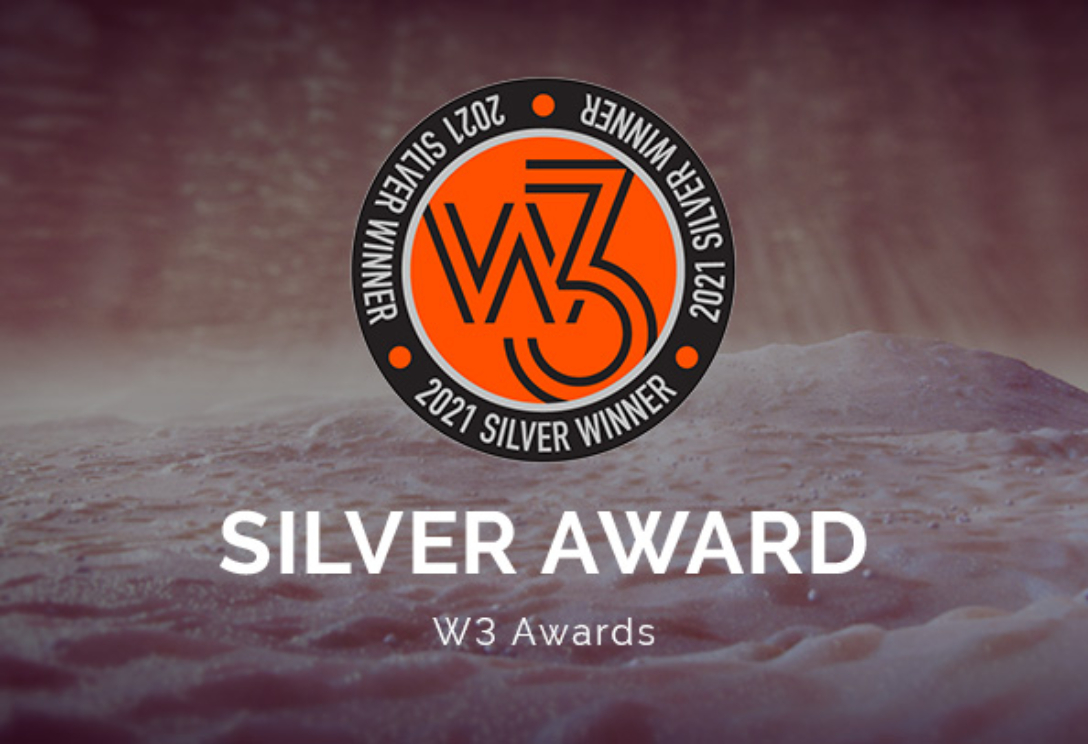 W3 Awards 2021 Logo