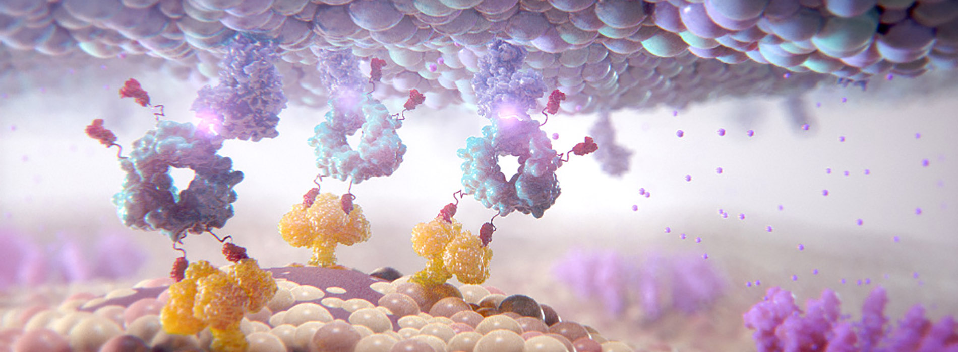 3D model of NK cells designed by Random42