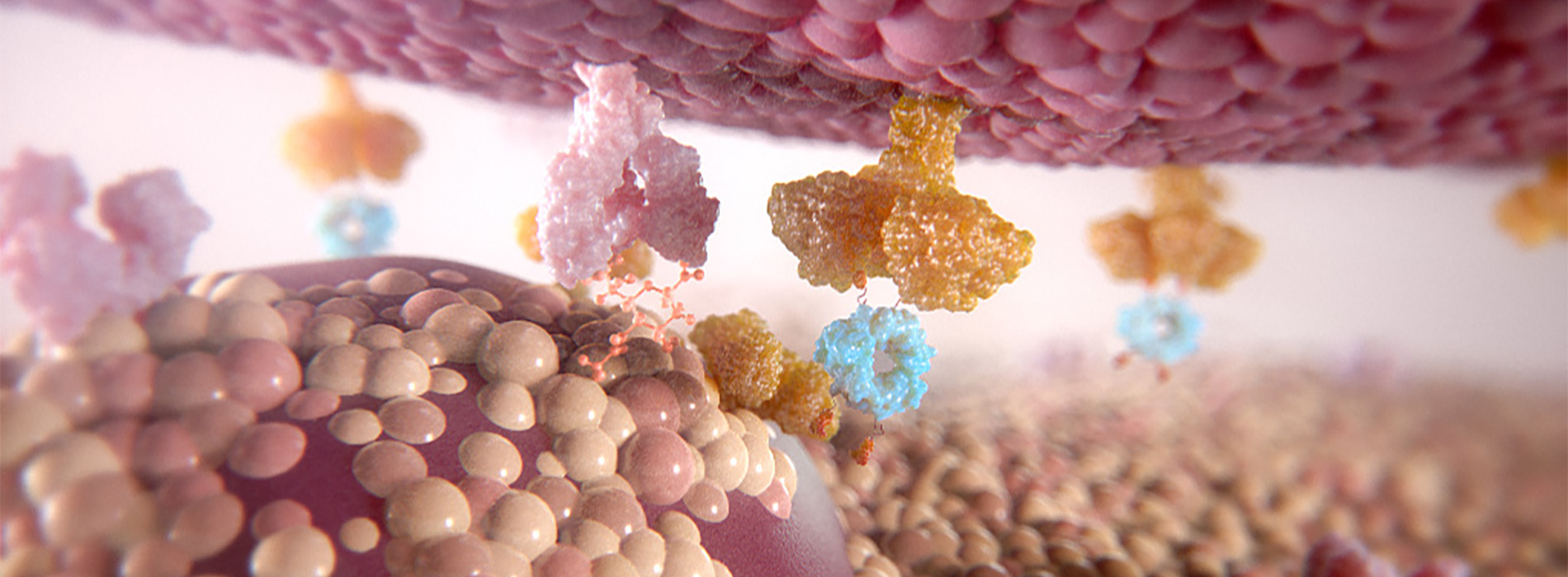 3D model of sialic acid designed by Random42