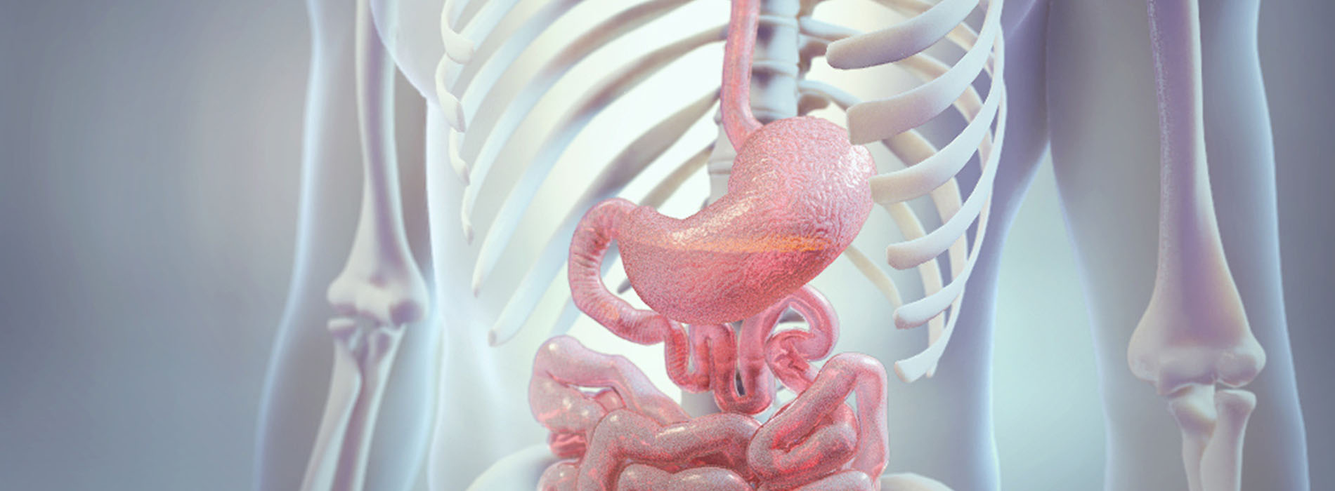Consumer-Healthcare-Animation Consumer Healthcare Animation