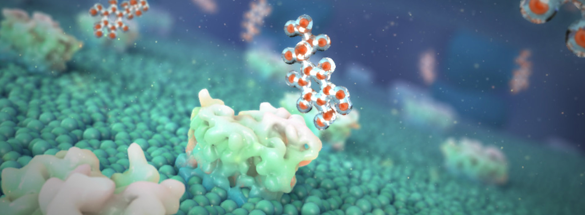 3D model of molecules designed by Random42