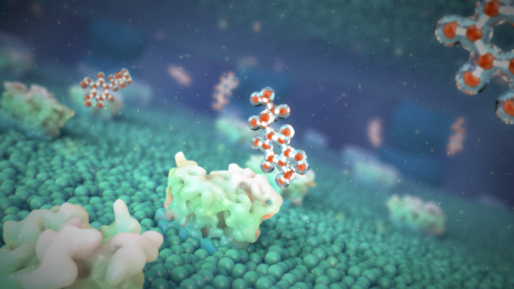 3D model of molecules designed by Random42