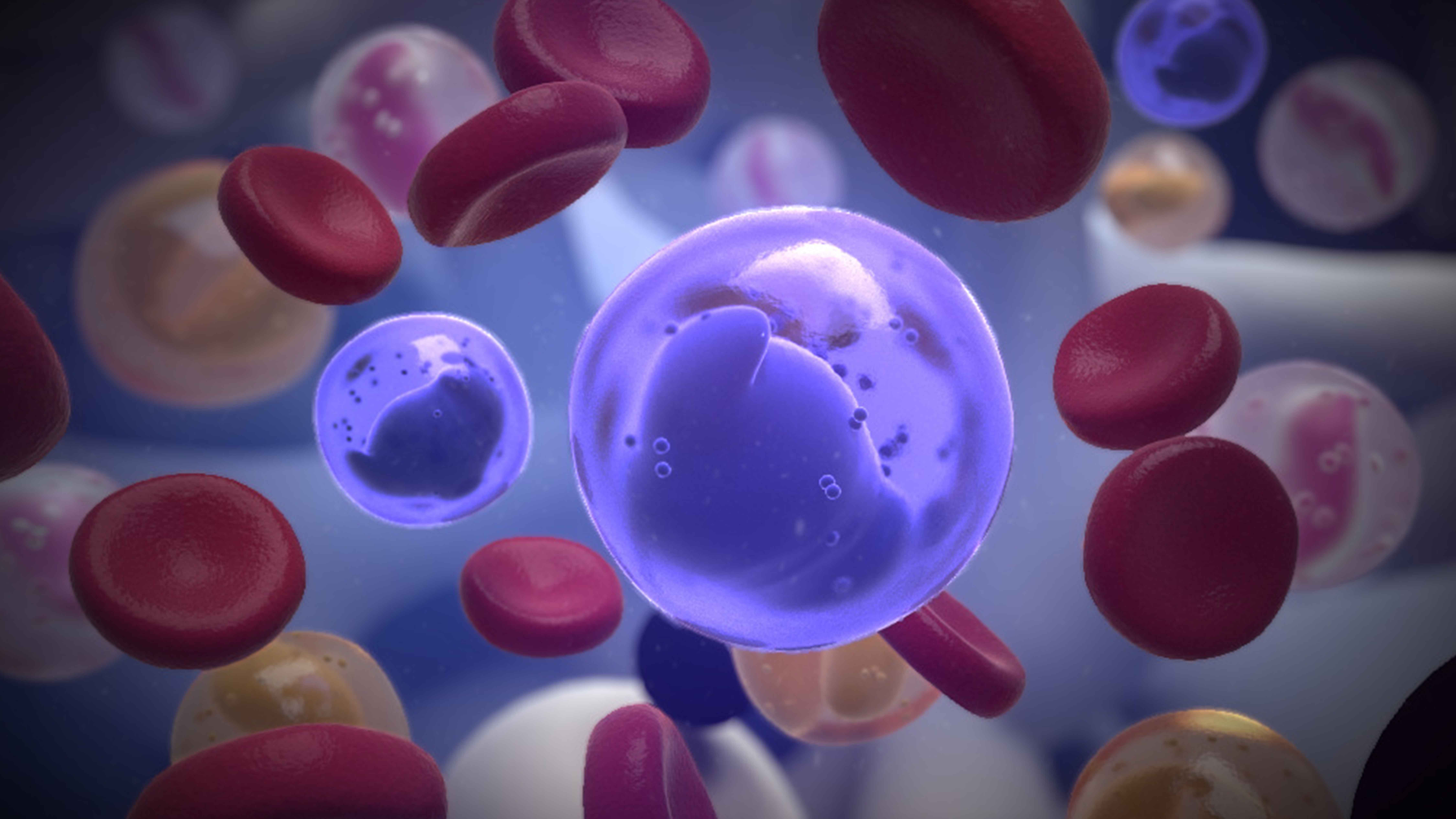Medical-Animation-for-Industry-Events Medical Animation for Industry Events