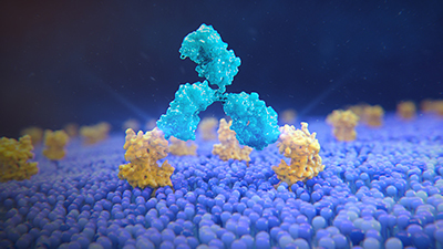 Immuno-oncology Research Pipeline Experience