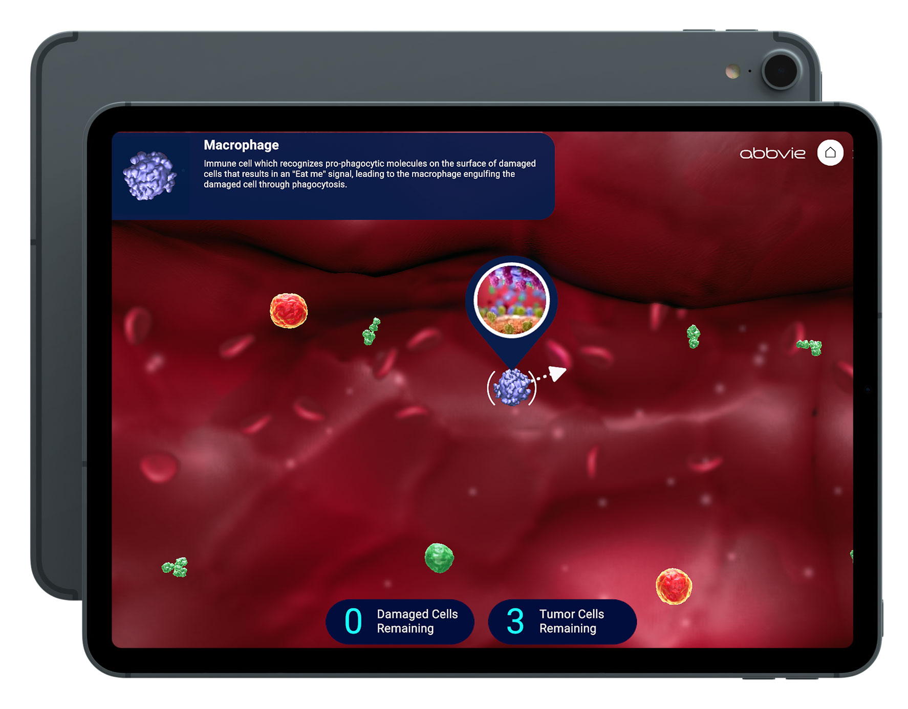 Random42-Hematologic-Malignancies-Interactive-Challenge Random42 Hematologic Malignancies Interactive Challenge