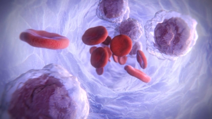 3D model of a blood vessel designed by Random42