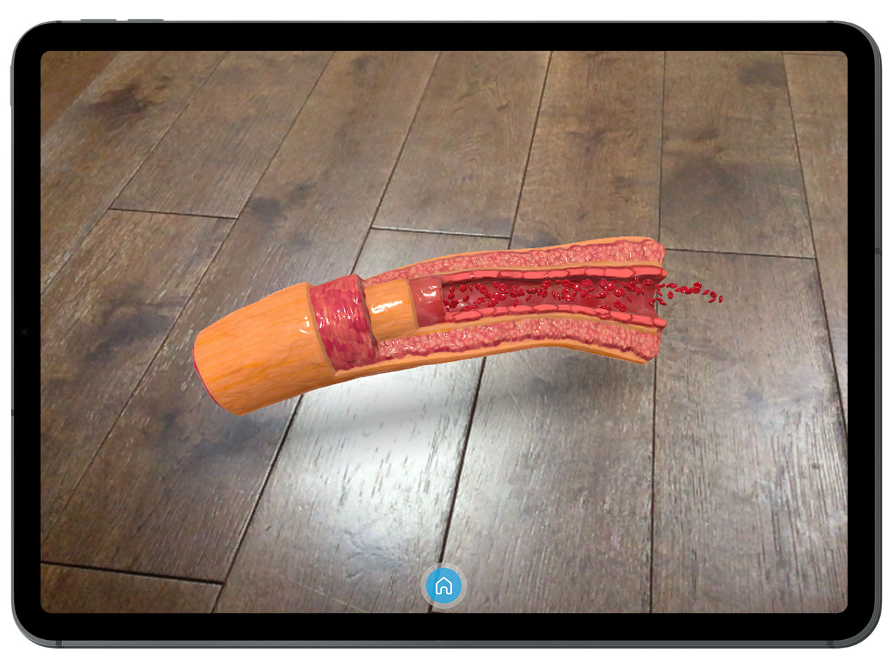 Augmented_Reality_for_ASH_2023 Augmented Reality for ASH 2023