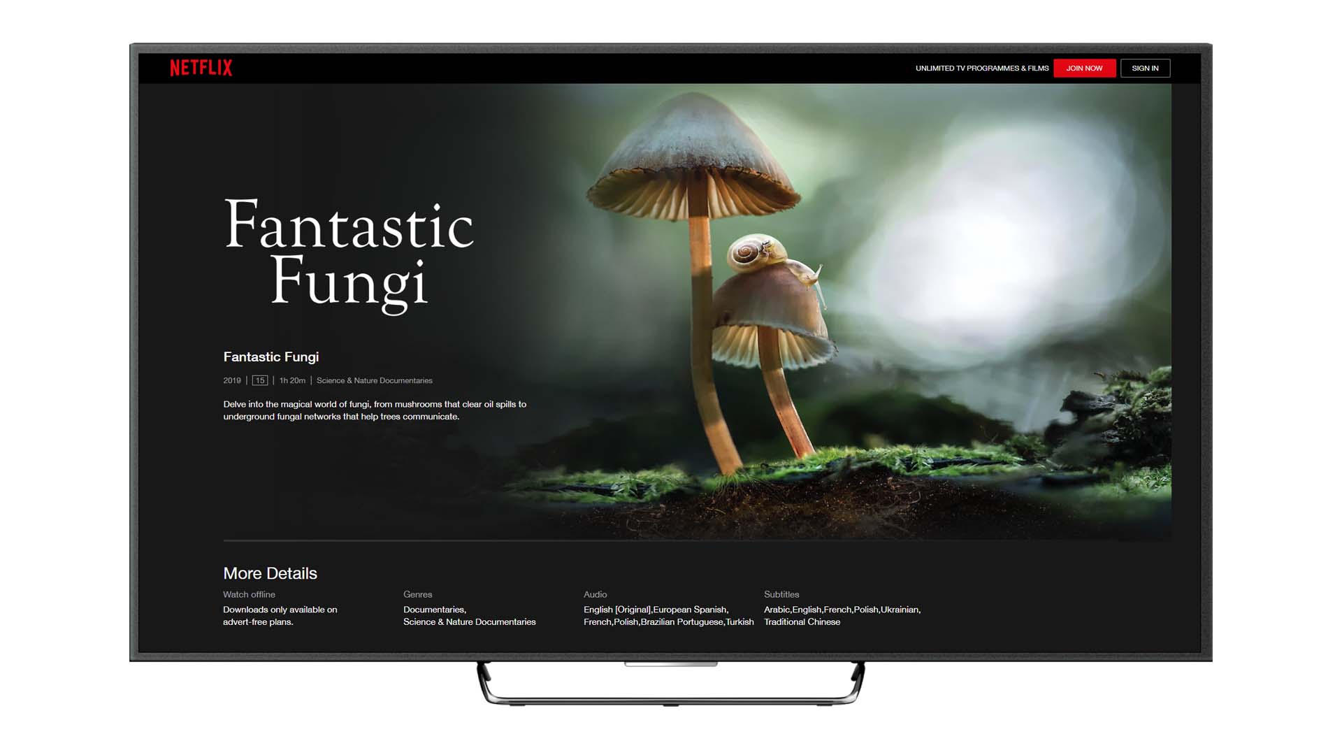Random42_Fantastic_Fungi_Documentary_Netflix Random42 Fantastic Fungi Documentary Netflix