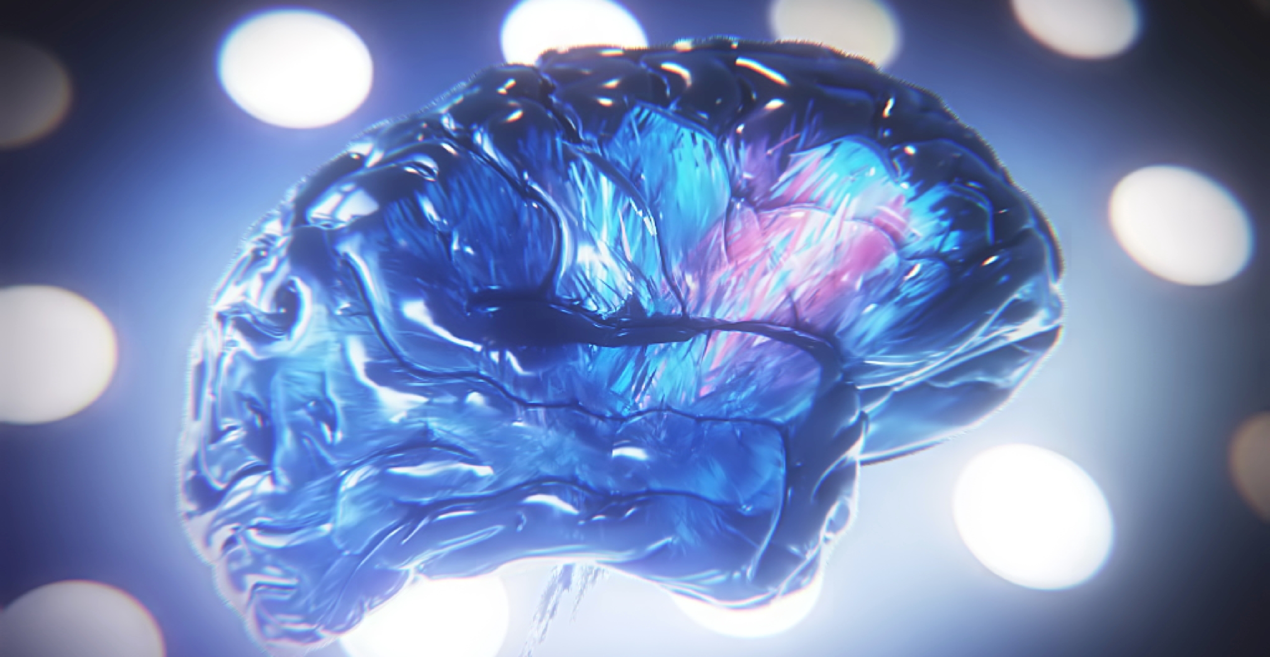 3D model of a brain designed by Random42