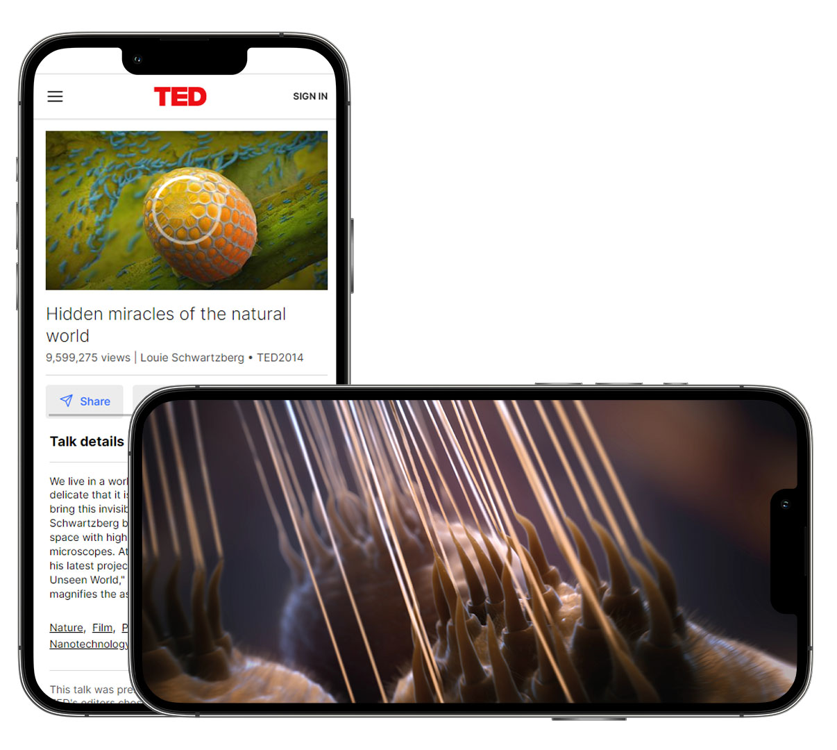 Random42-Mysteries-of-the-Unseen-World-Ted-Talk Random42 Mysteries of the Unseen World Ted Talk