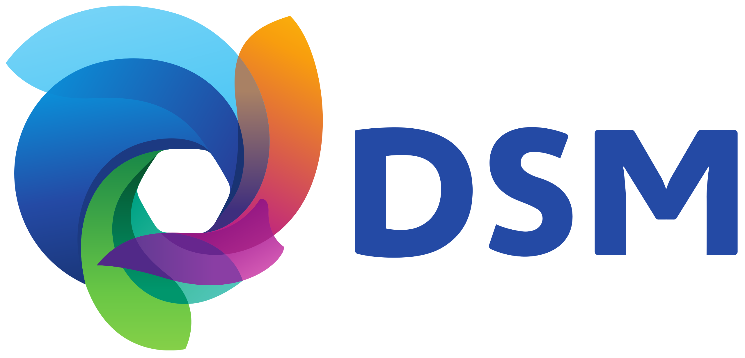 DSM Logo
