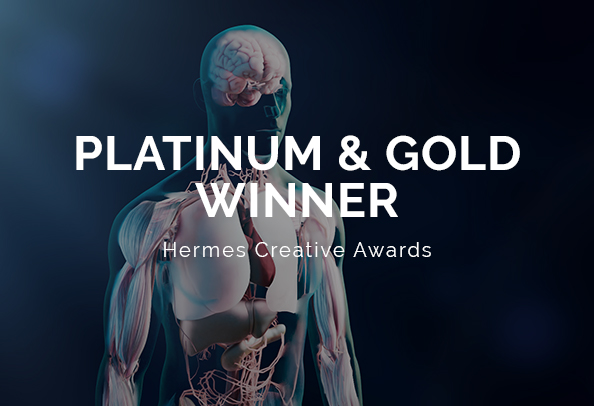 Random42 Hermes Creative Awards 2023