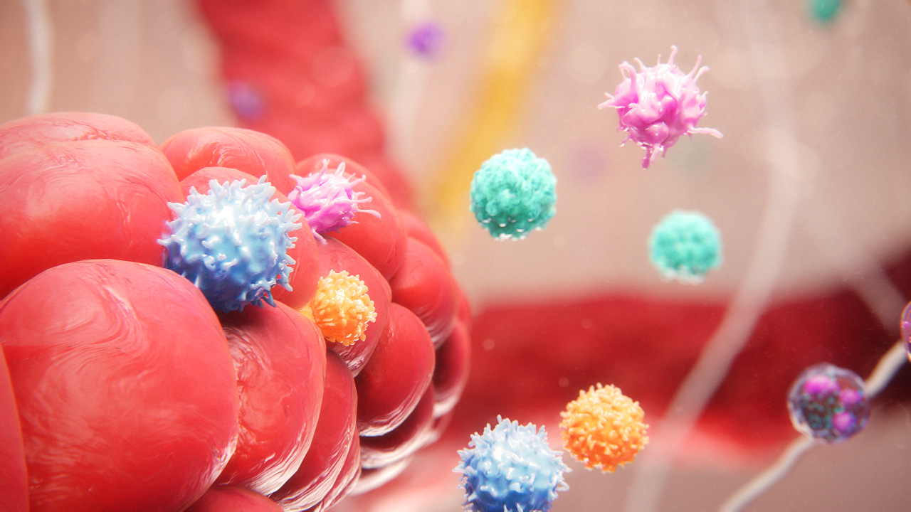 Immune Cells