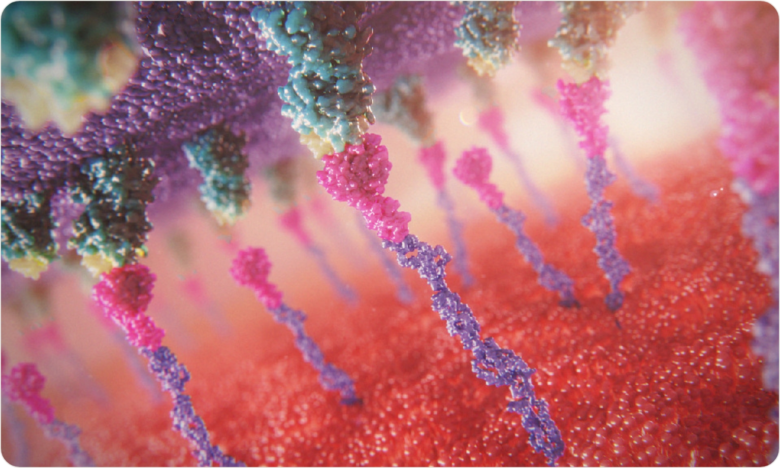 3D model of cells binding designed by Random42