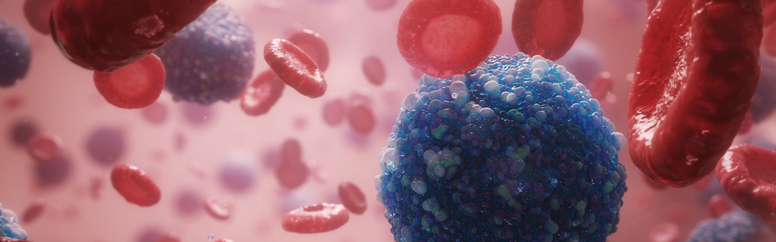 3D model of a B Cell in Blood designed by Random42