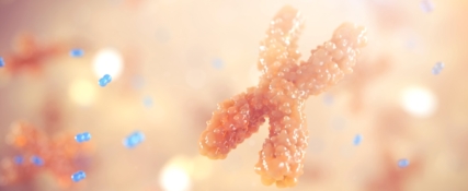 3D model of a chromosome designed by Random42