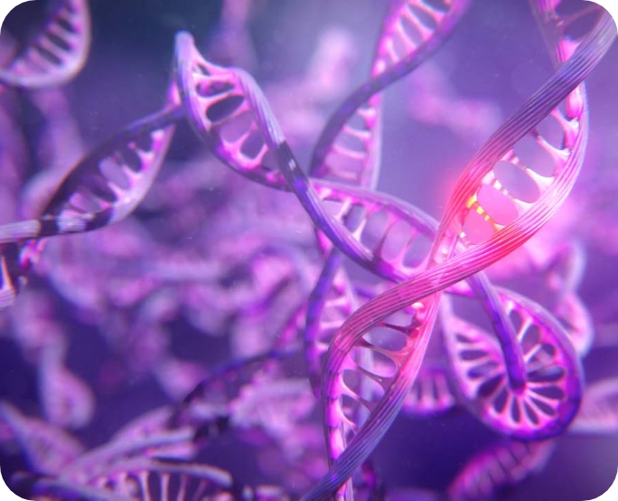 3D model of DNA designed by Random42