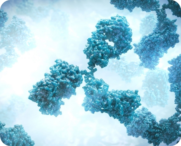 3D model of antibody designed by Random42