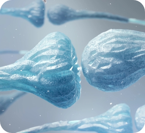 3D model of neurology designed by Random42