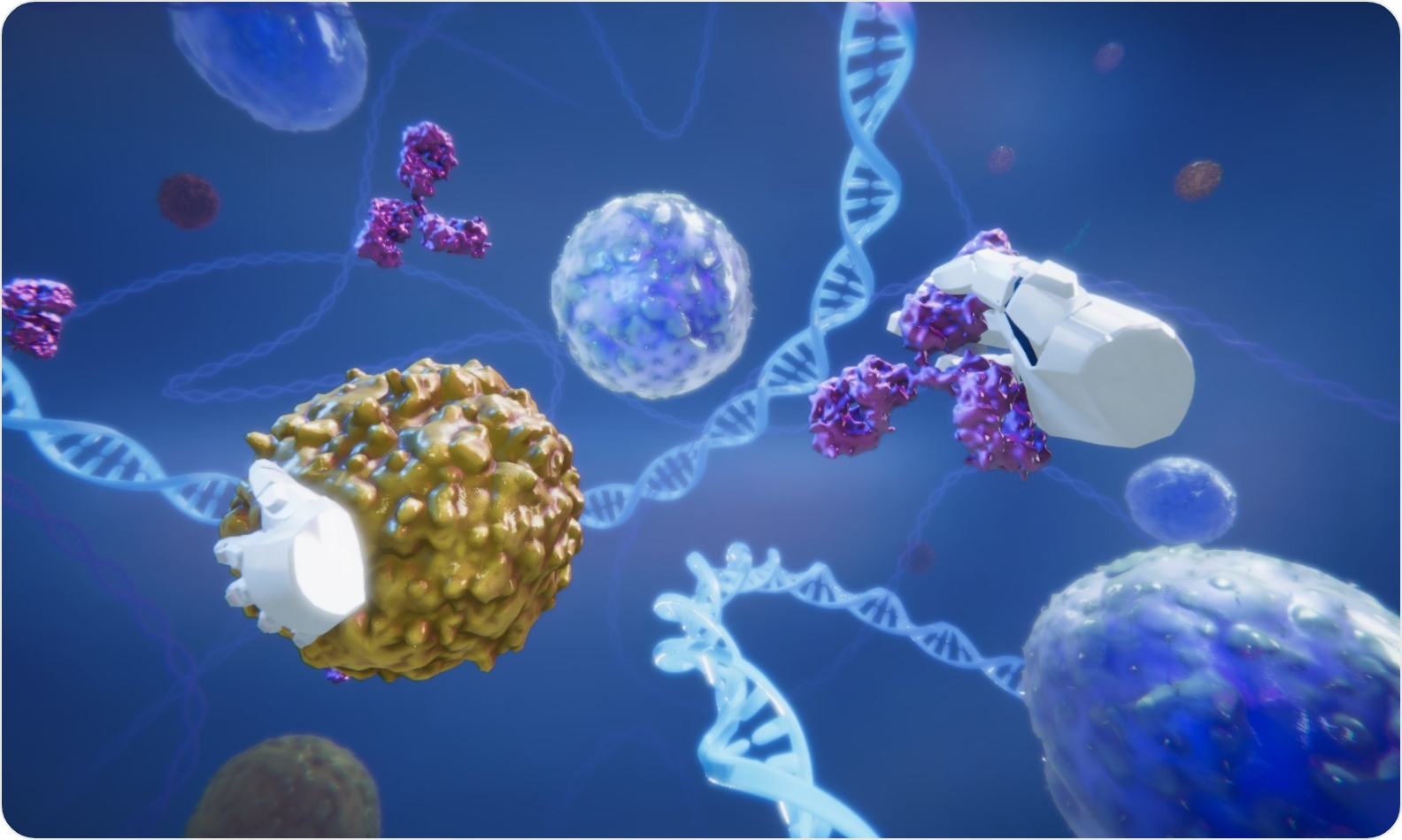 3D model of T cells designed by Random42