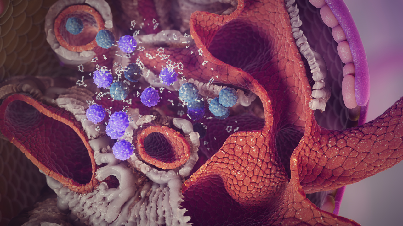 Tissue Repair Animation