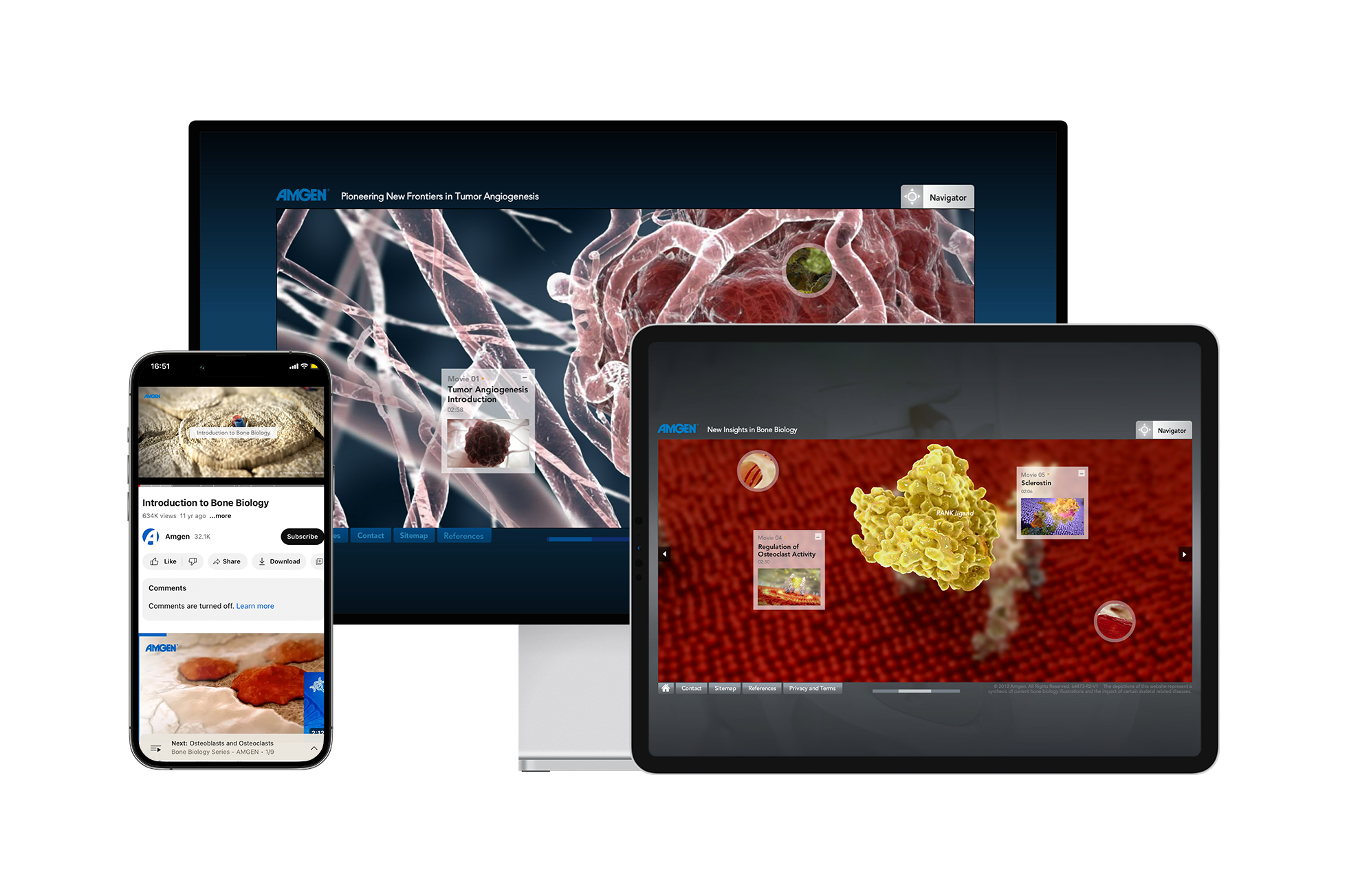 Bone biology website youtube2