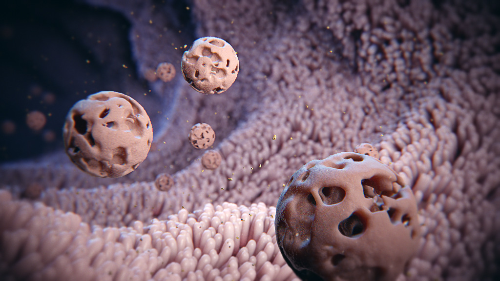 Calibrin in Intestine for Animal Health Animation