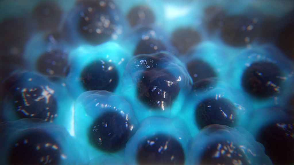 RNA interference animation