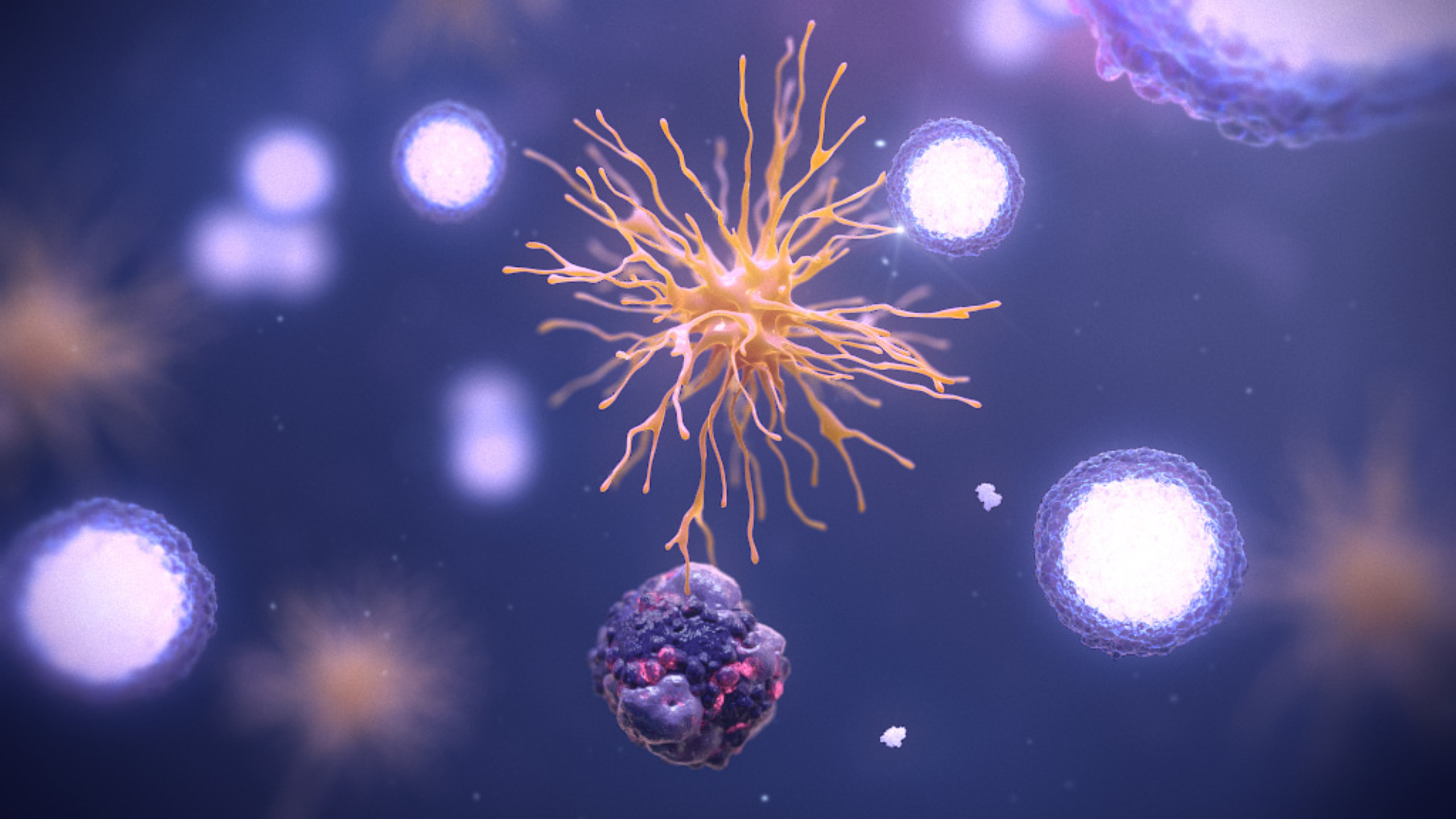 cancer immunology scientific animation
