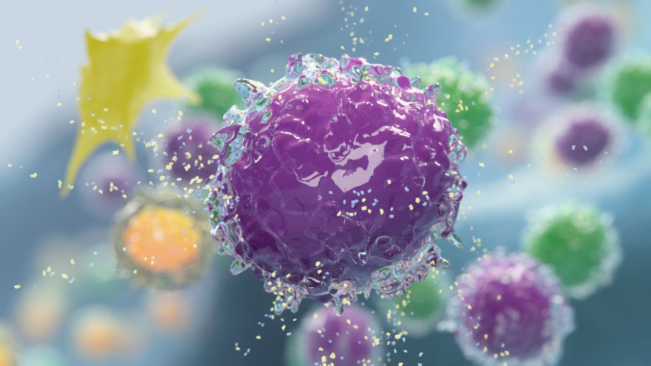 Immune cells still from canine allergy scientific animation
