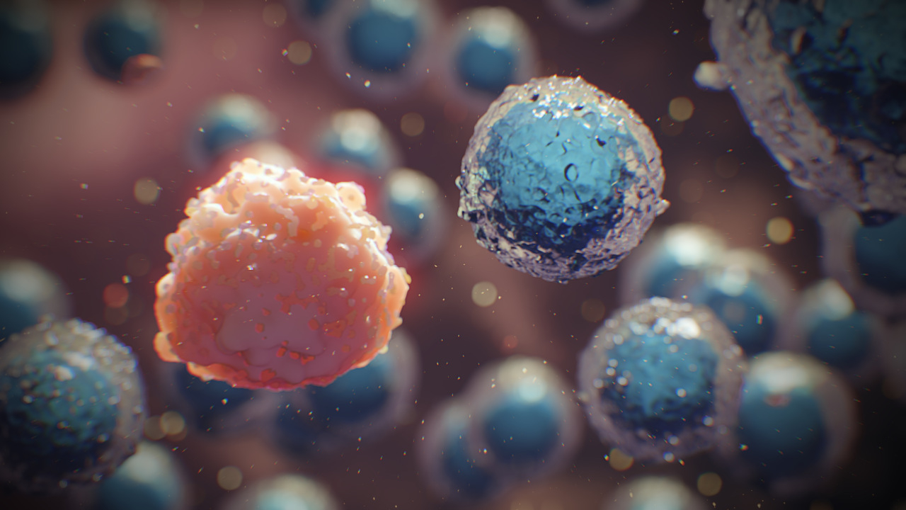 T-cell Medical Animation