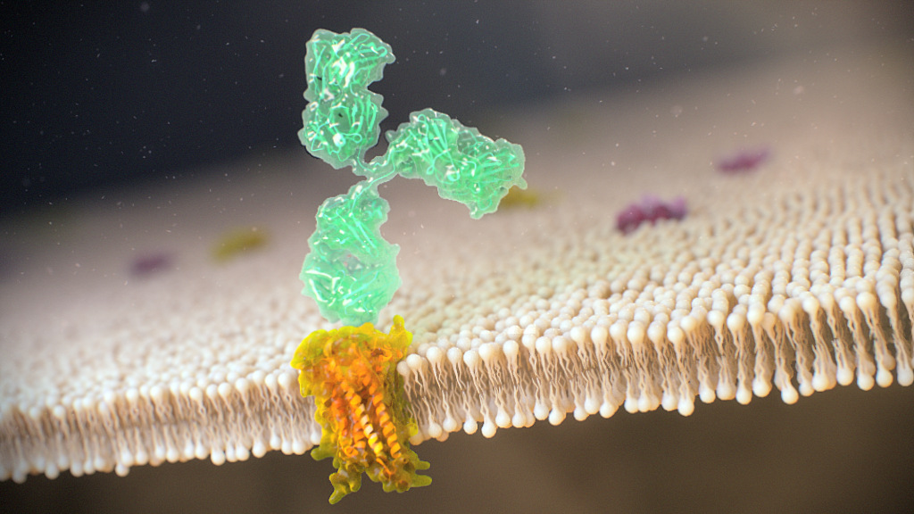 G Protein Coupled Receptor Scientific Animation