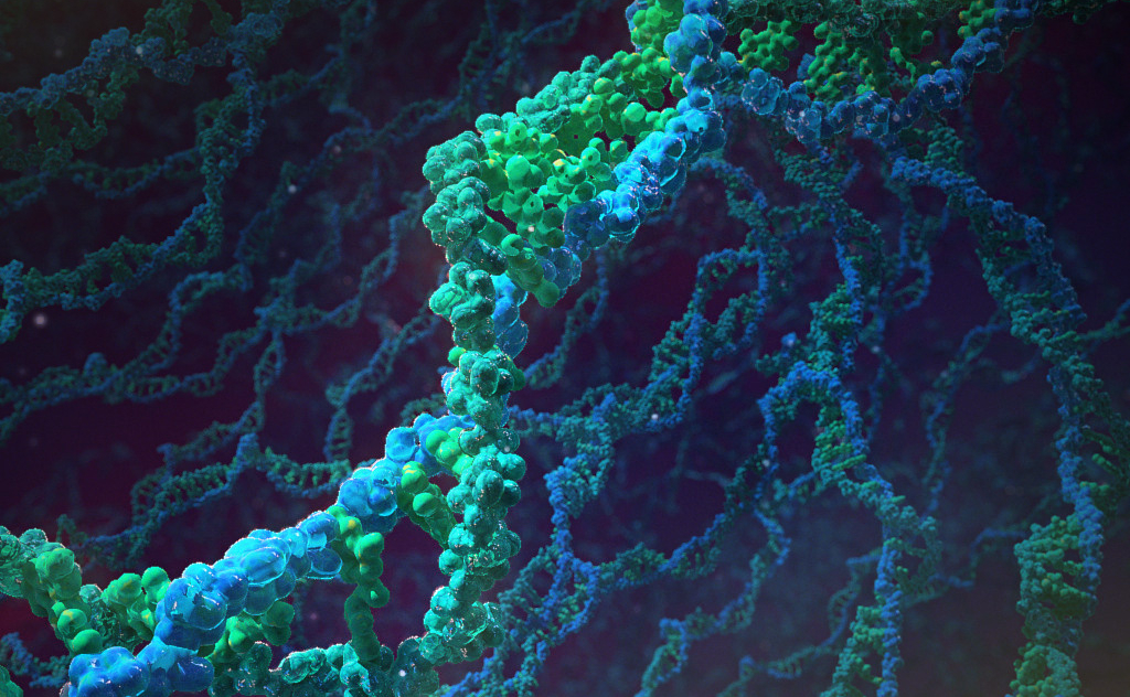 Mysteries of the Unseen World Animation