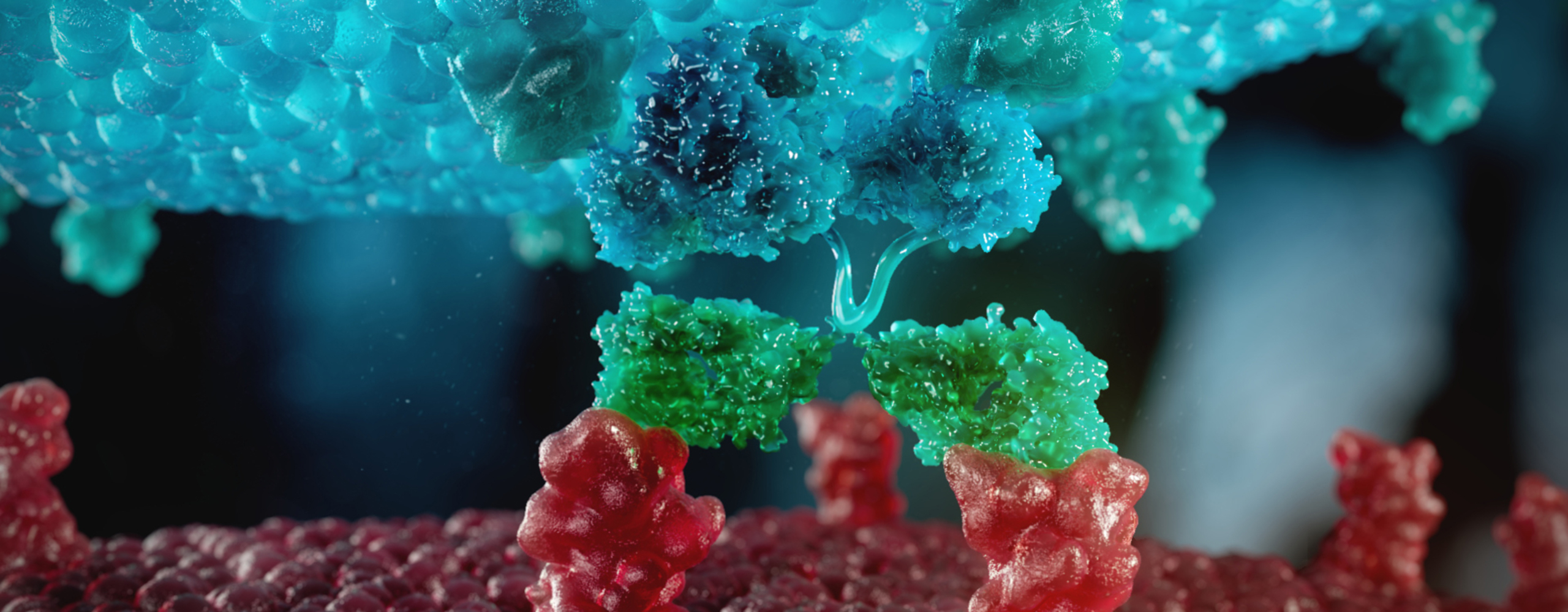 Natural Killer Cell Technology Animation
