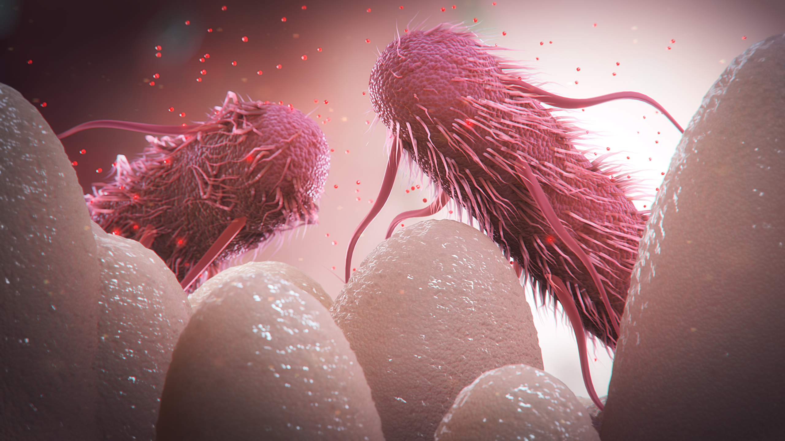 animal health scientific animation