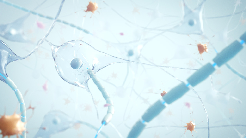 Disease State Education Simulator