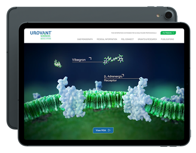 Overactive Bladder Mo Animation