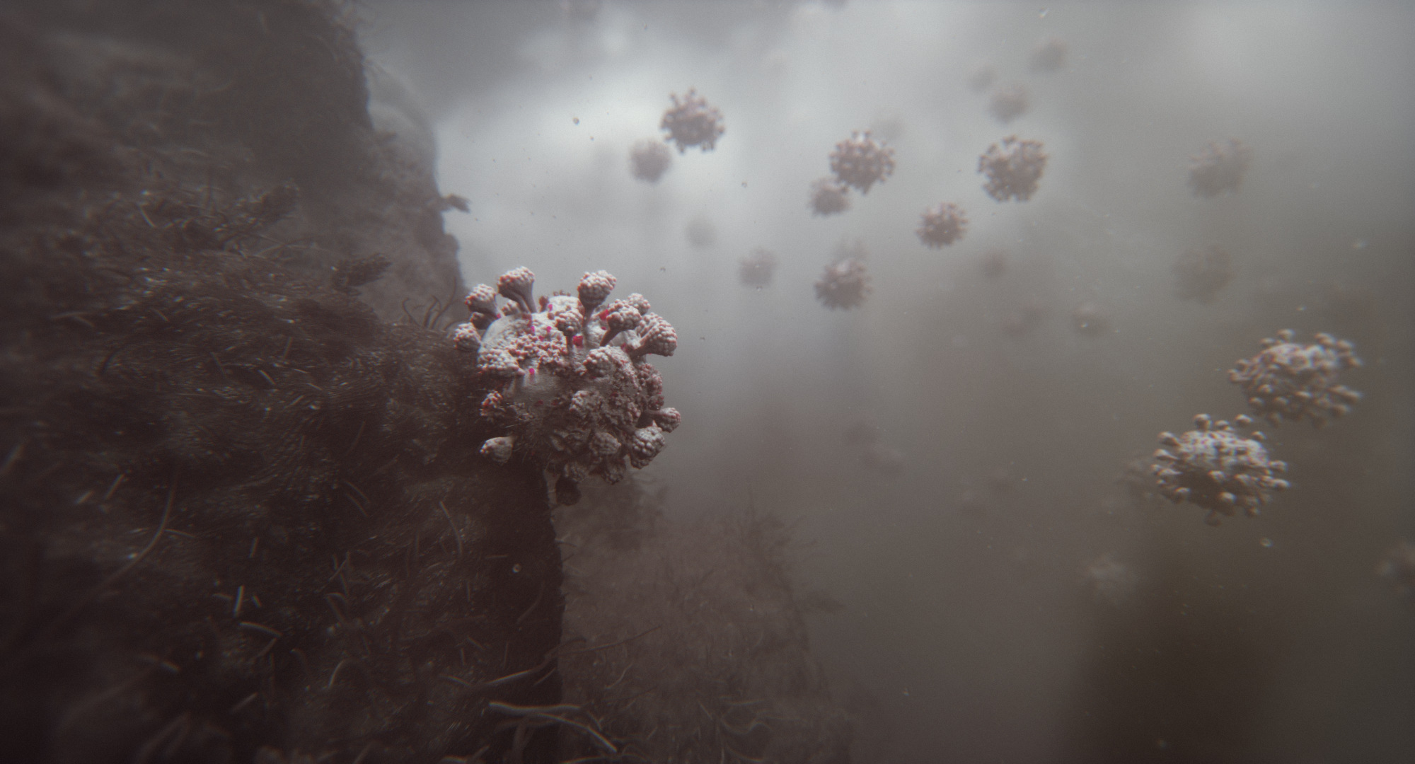 Coronavirus Animation