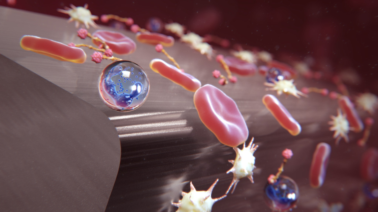 Blood Vessel Stent |Scientific Animation