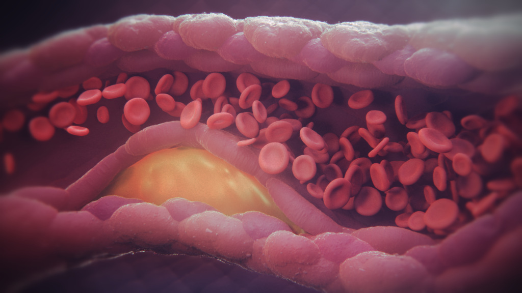 The Game Changers Documentary