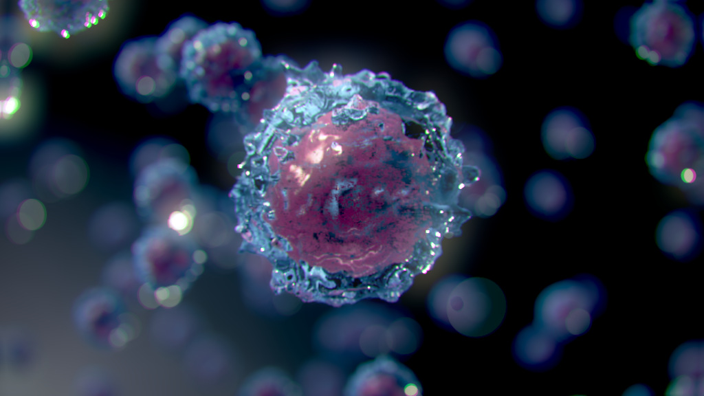 life size 360 animation