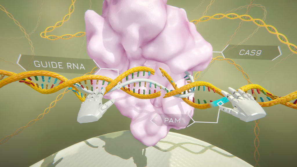 Gene Editing Virtual Reality