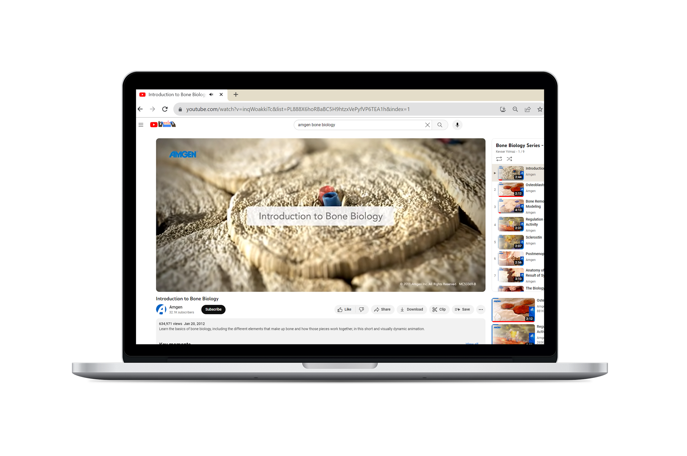 bone biology animation series youtube