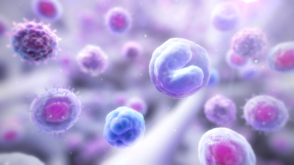 3D model of bone marrow designed by Random42