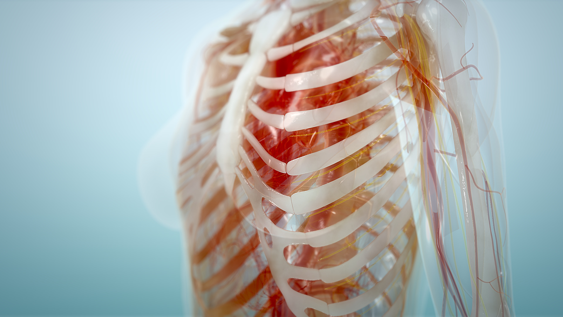 bone science scientific video series