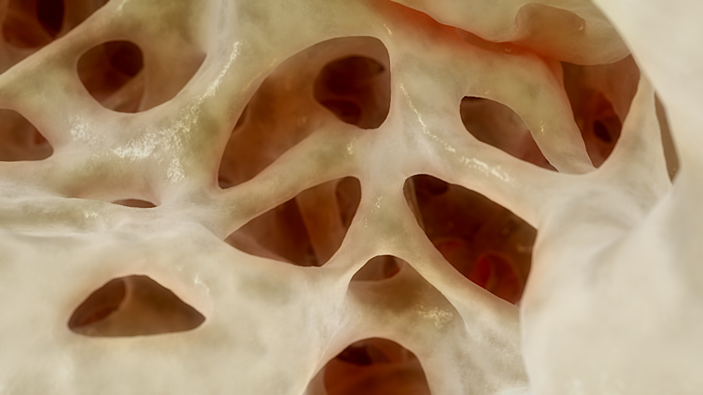 bone structure medical aniamtion