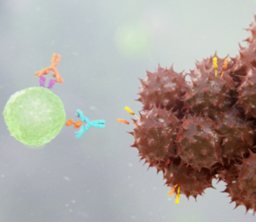 Immunotherapy Medical Animation