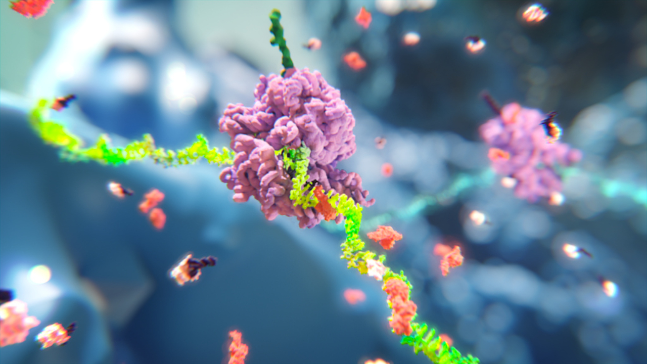 RNA interference scientific animation