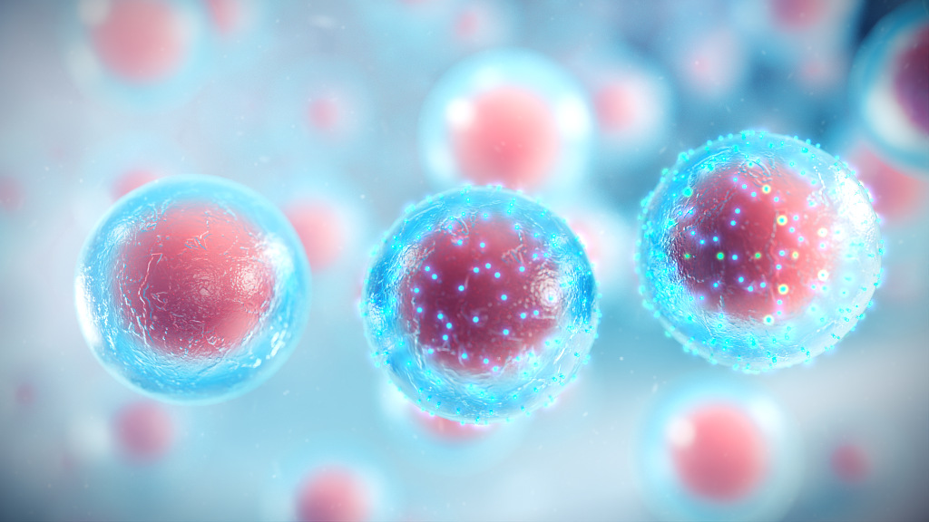 3D model of stem cells designed by Random42